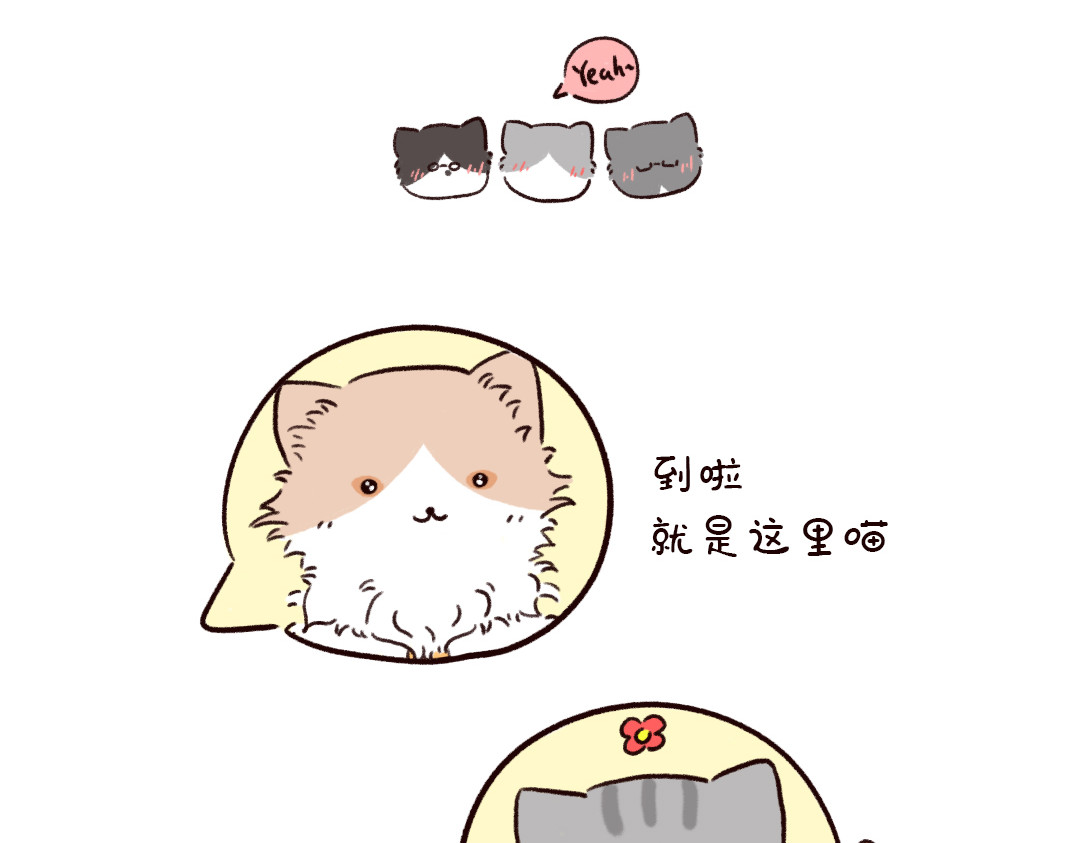 喵星球上班族 喵喵团建 第3页