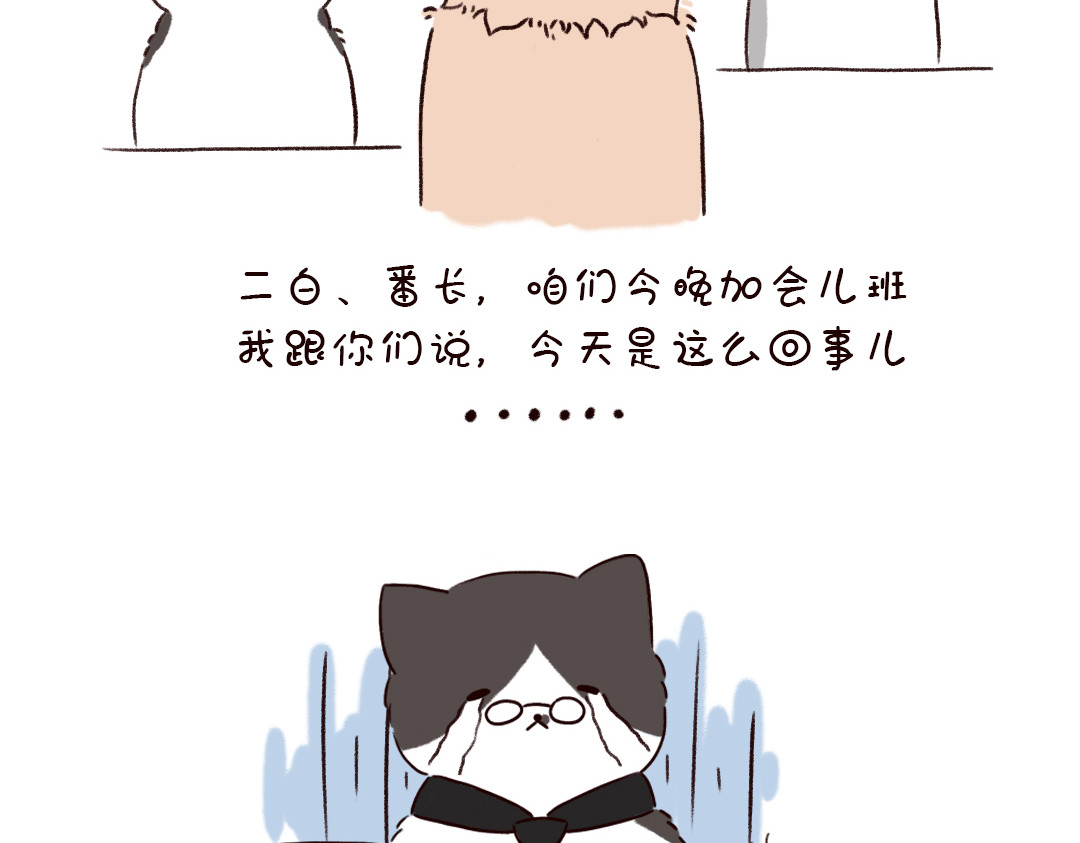 喵星球上班族 喵喵加班 第5页