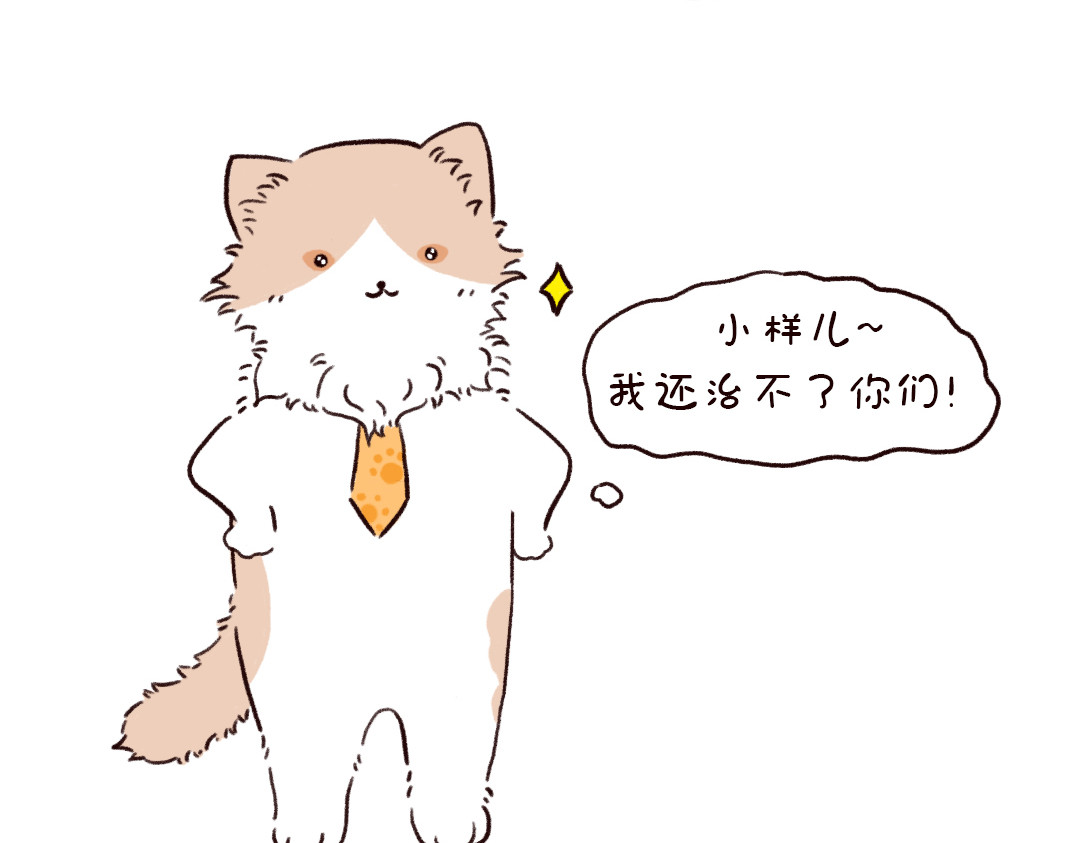 喵星球上班族 当你的员工无心工作 第12页