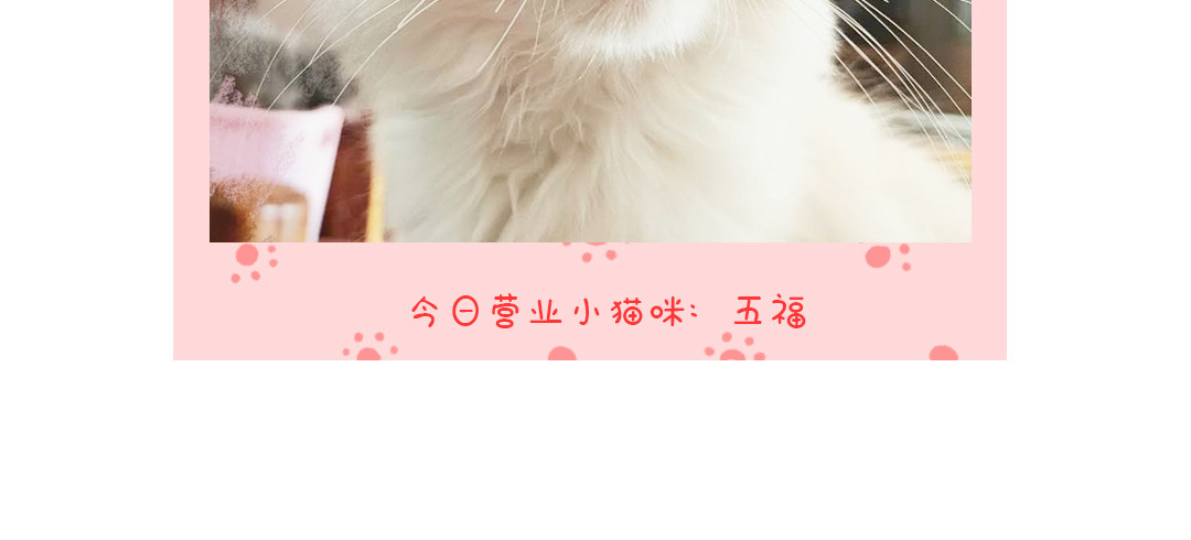 喵星球上班族 当你的员工无心工作 第15页