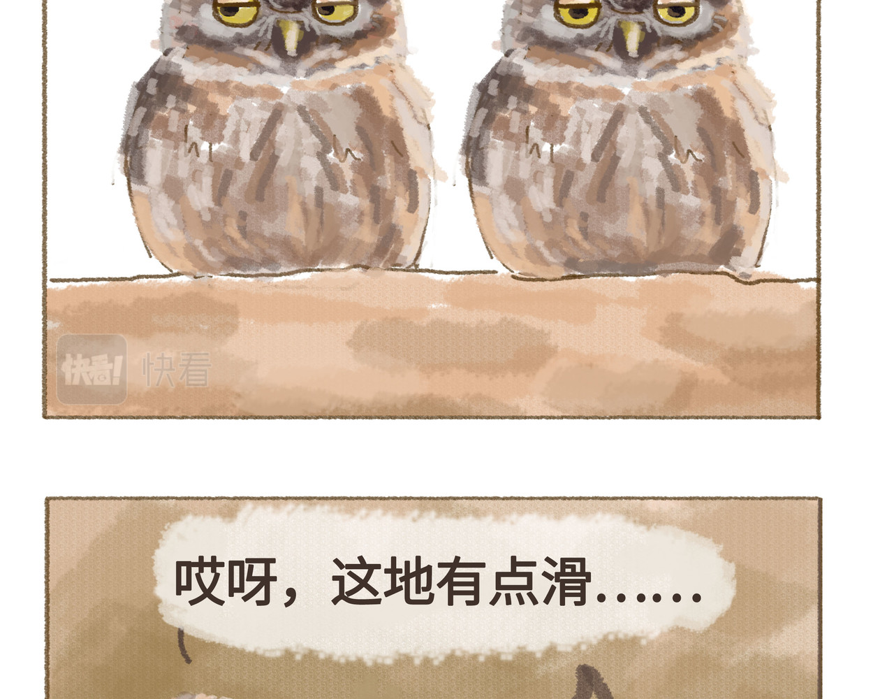 动物为什么这么可爱？ 今天不允许emo 第20页