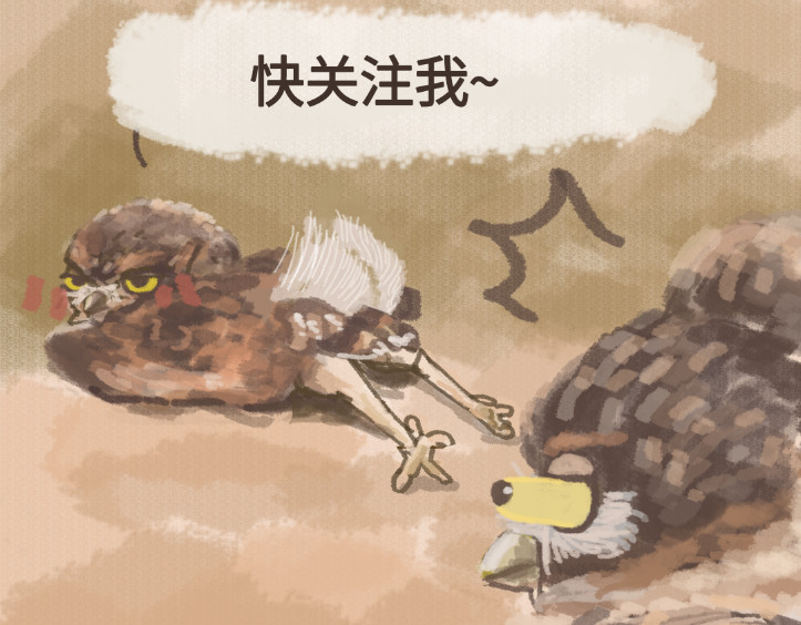 动物为什么这么可爱？ 今天不允许emo 第23页