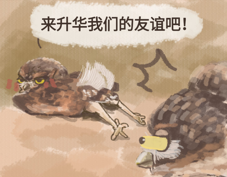 动物为什么这么可爱？ 今天不允许emo 第25页