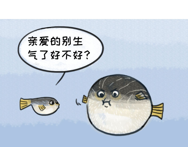 动物为什么这么可爱？ 今天不允许emo 第5页