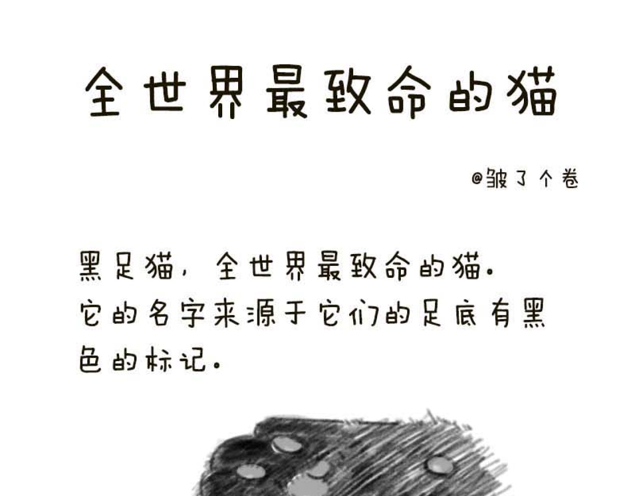 动物为什么这么可爱？ 第1页