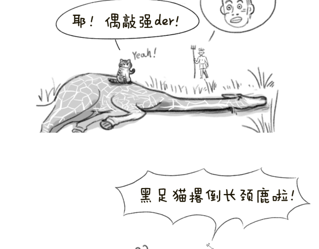 动物为什么这么可爱？ 世界上最致命的猫1 第11页