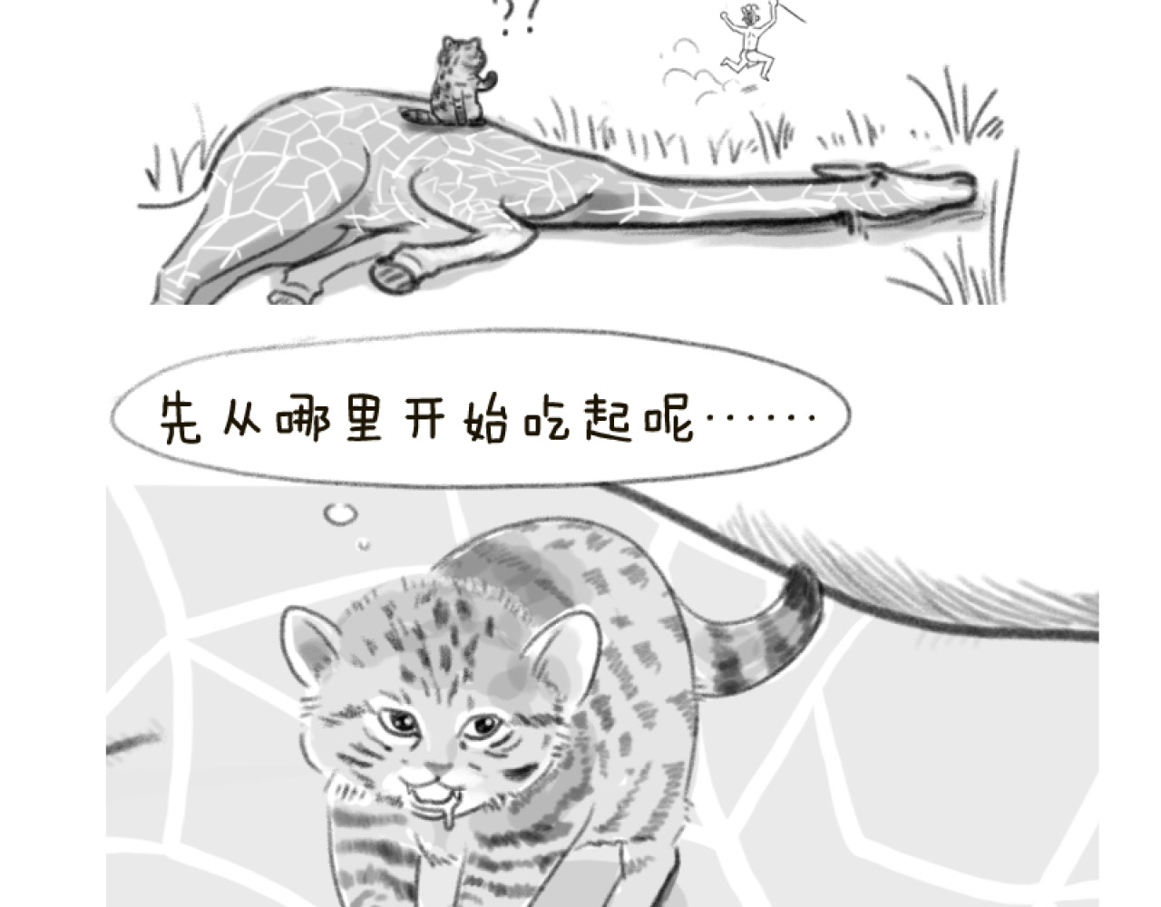 动物为什么这么可爱？ 世界上最致命的猫1 第12页