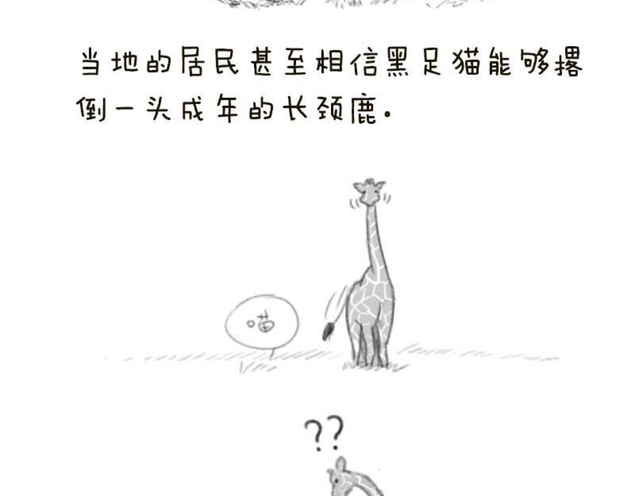 动物为什么这么可爱？ 第5页