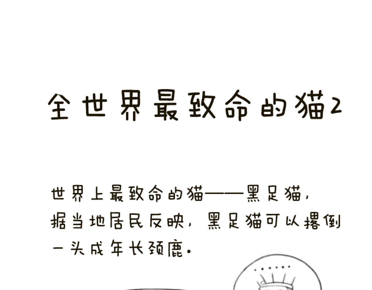 动物为什么这么可爱？ 世界上最致命的猫1 第10页