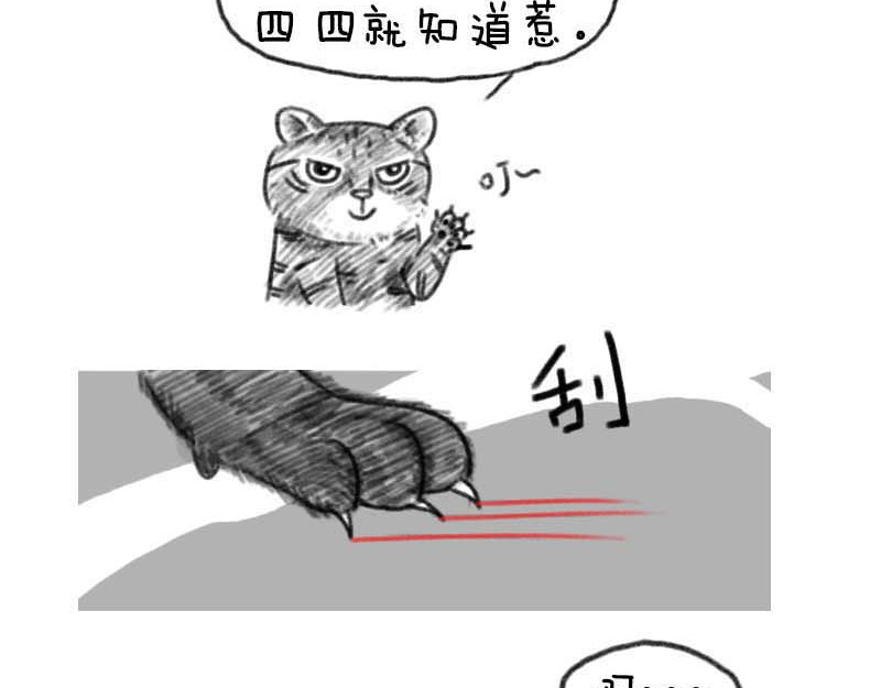 动物为什么这么可爱？ 世界上最致命的猫2 第12页