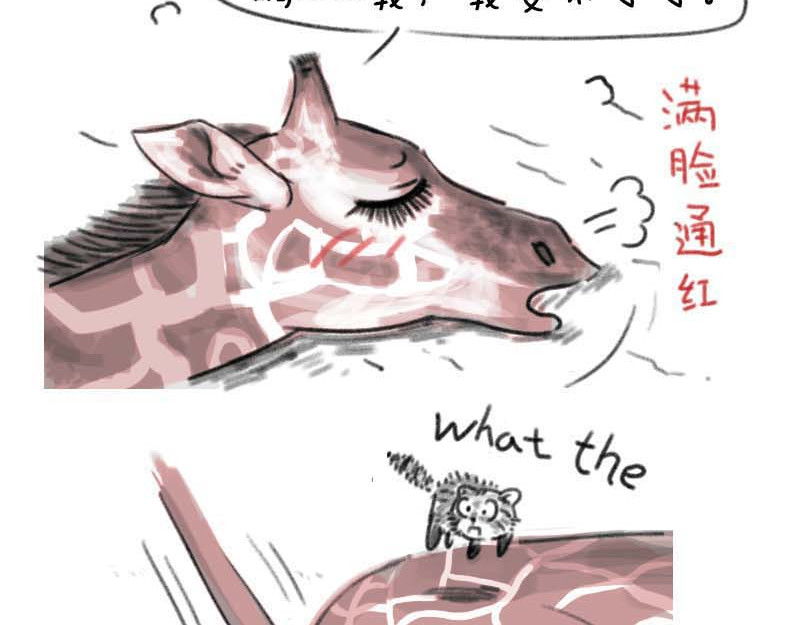 动物为什么这么可爱？ 世界上最致命的猫2 第15页