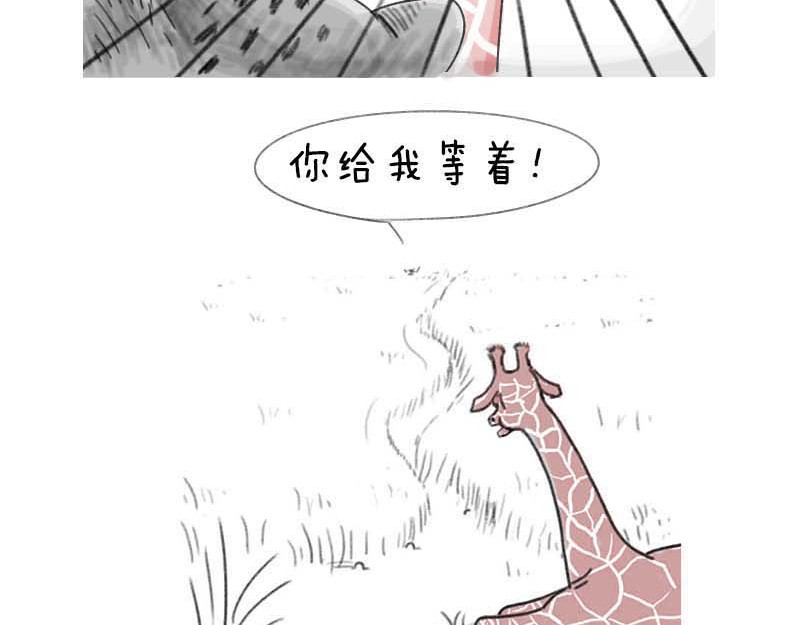 动物为什么这么可爱？ 世界上最致命的猫2 第18页