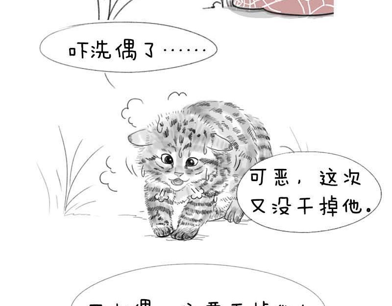 动物为什么这么可爱？ 世界上最致命的猫2 第19页