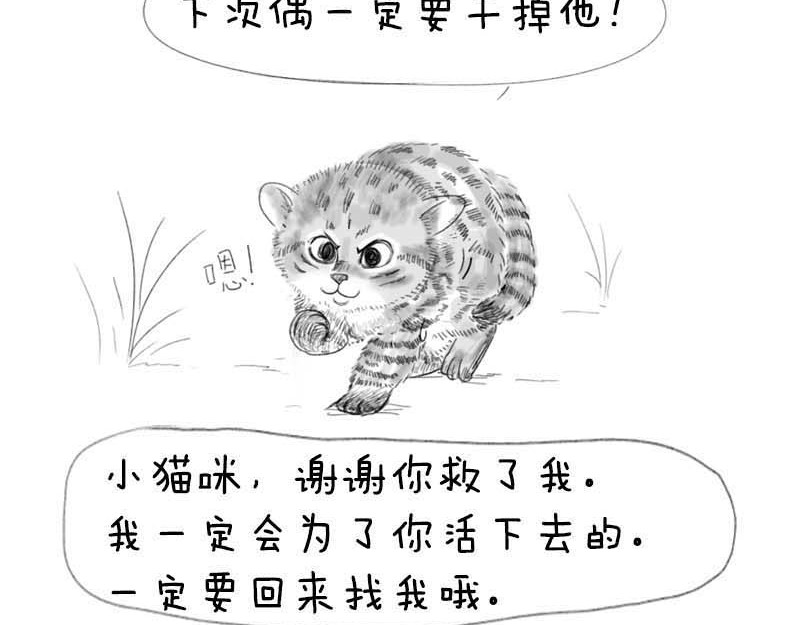 动物为什么这么可爱？ 世界上最致命的猫2 第20页