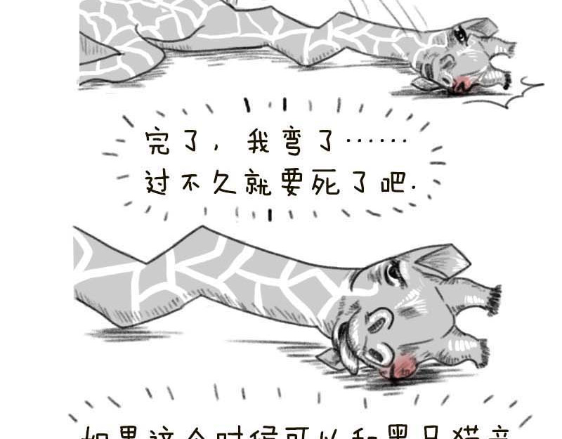 动物为什么这么可爱？ 世界上最致命的猫2 第5页