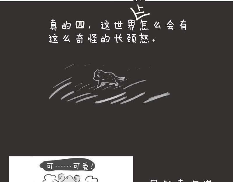 动物为什么这么可爱？ 世界上最致命的猫3 第12页
