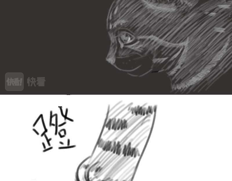 动物为什么这么可爱？ 世界上最致命的猫3 第15页