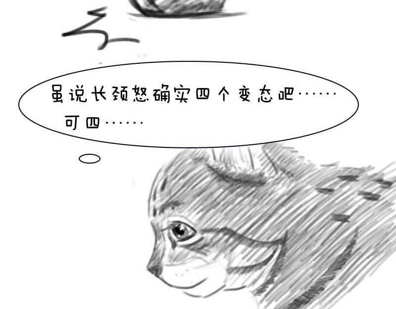 动物为什么这么可爱？ 世界上最致命的猫3 第16页