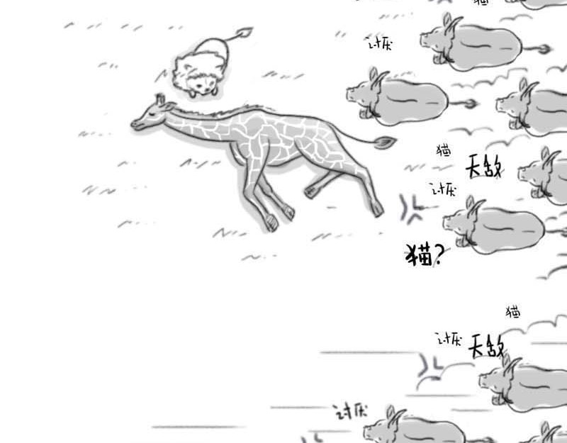 动物为什么这么可爱？ 世界上最致命的猫3 第26页