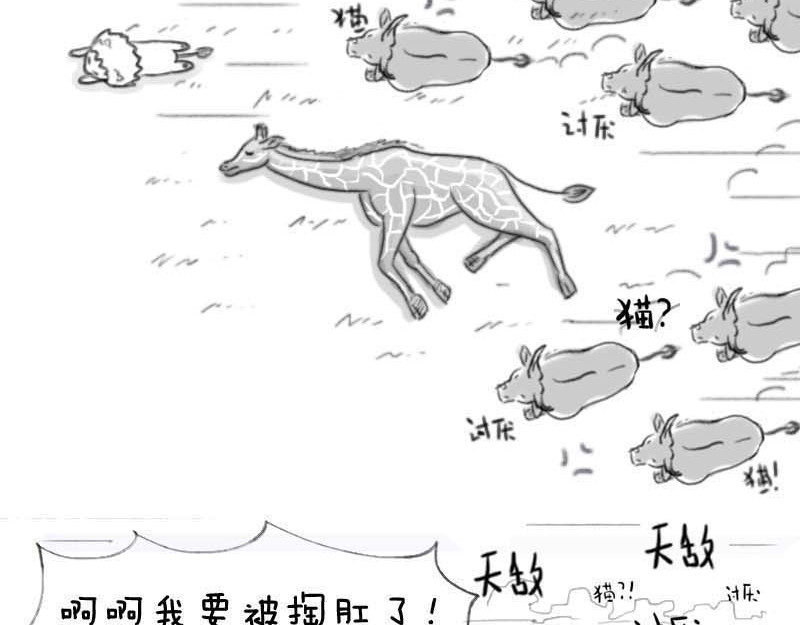 动物为什么这么可爱？ 世界上最致命的猫3 第27页