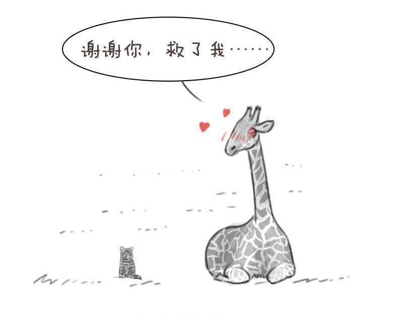 动物为什么这么可爱？ 世界上最致命的猫3 第30页