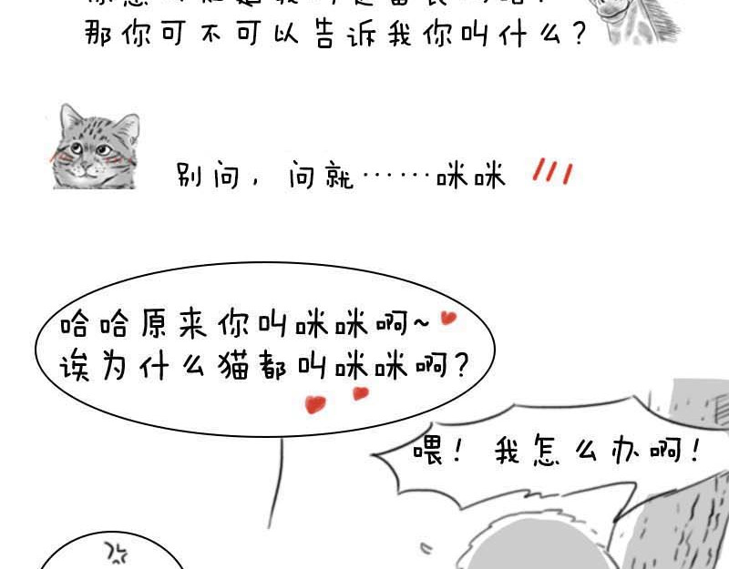 动物为什么这么可爱？ 世界上最致命的猫3 第32页