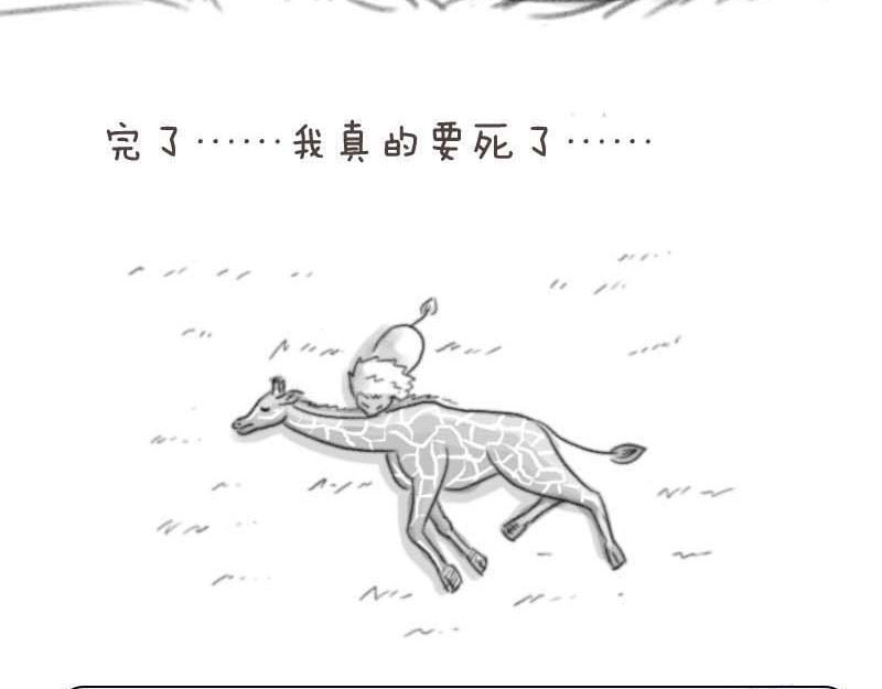 动物为什么这么可爱？ 世界上最致命的猫3 第5页