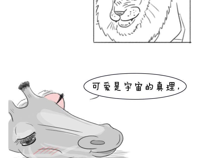 动物为什么这么可爱？ 世界上最致命的猫3 第8页