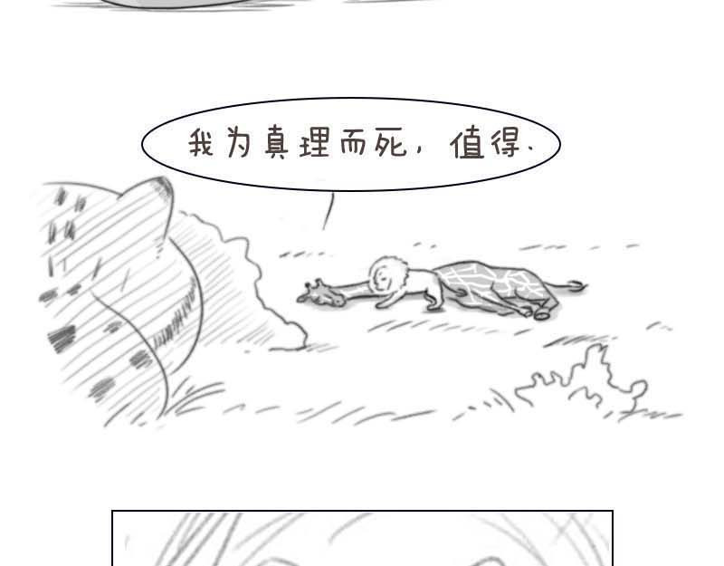 动物为什么这么可爱？ 世界上最致命的猫3 第9页