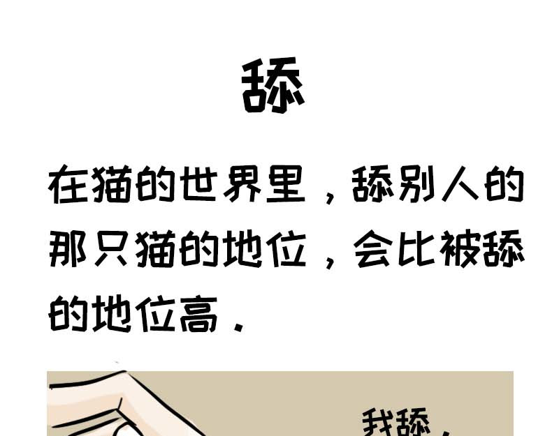 动物为什么这么可爱？ 动物眼中的世界到底是什么样的 第1页