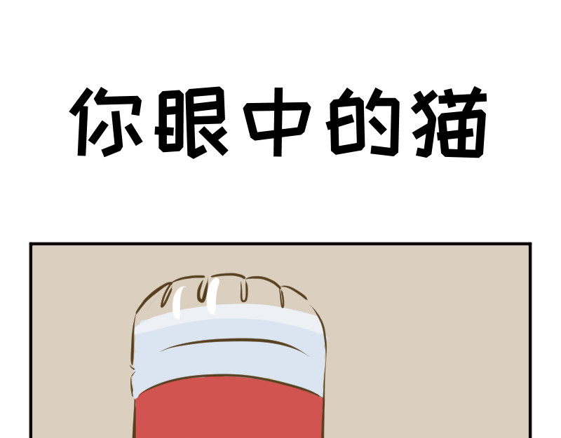 动物为什么这么可爱？ 动物眼中的世界到底是什么样的 第18页