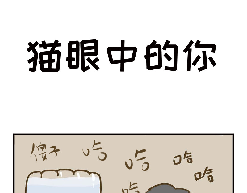 动物为什么这么可爱？ 动物眼中的世界到底是什么样的 第21页