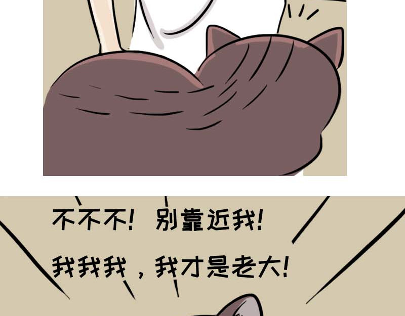 动物为什么这么可爱？ 动物眼中的世界到底是什么样的 第7页