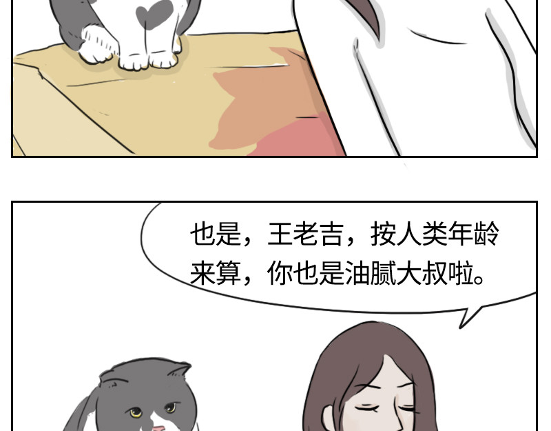 动物为什么这么可爱？ 你的小太阳上线了 第11页