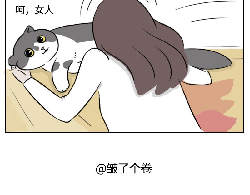 动物为什么这么可爱？ 你的小太阳上线了 第14页