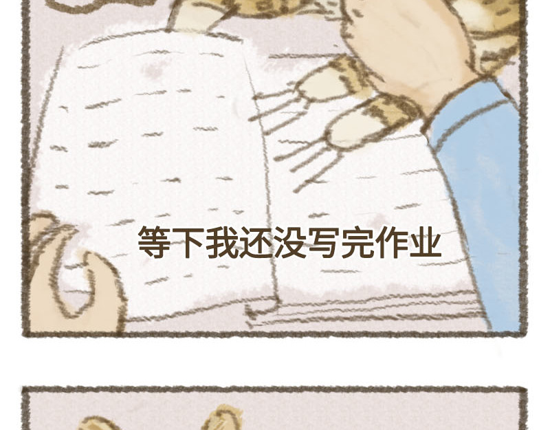 动物为什么这么可爱？ 你的小太阳上线了 第21页