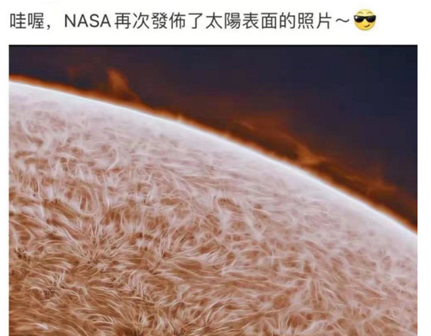 动物为什么这么可爱？ 你的小太阳上线了 第32页