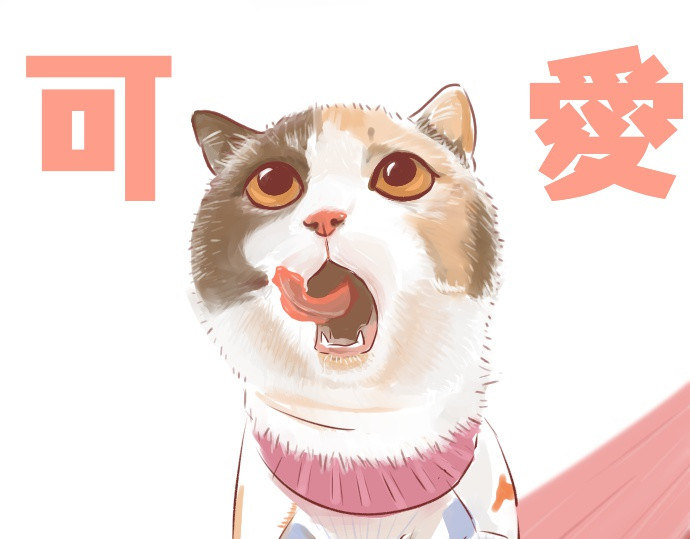 动物为什么这么可爱？ 你的小太阳上线了 第37页