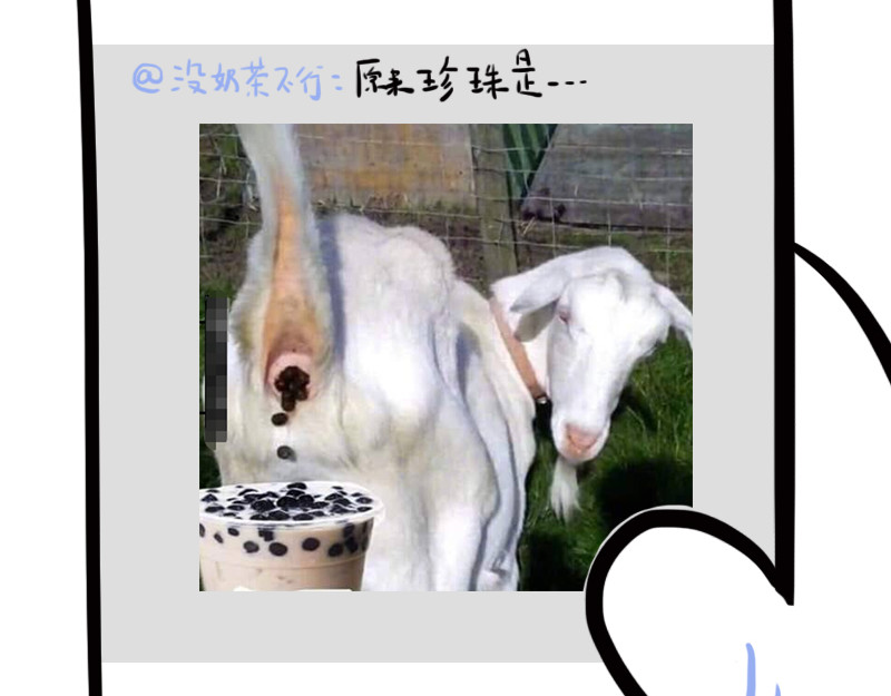 动物为什么这么可爱？ 你的小太阳上线了 第5页