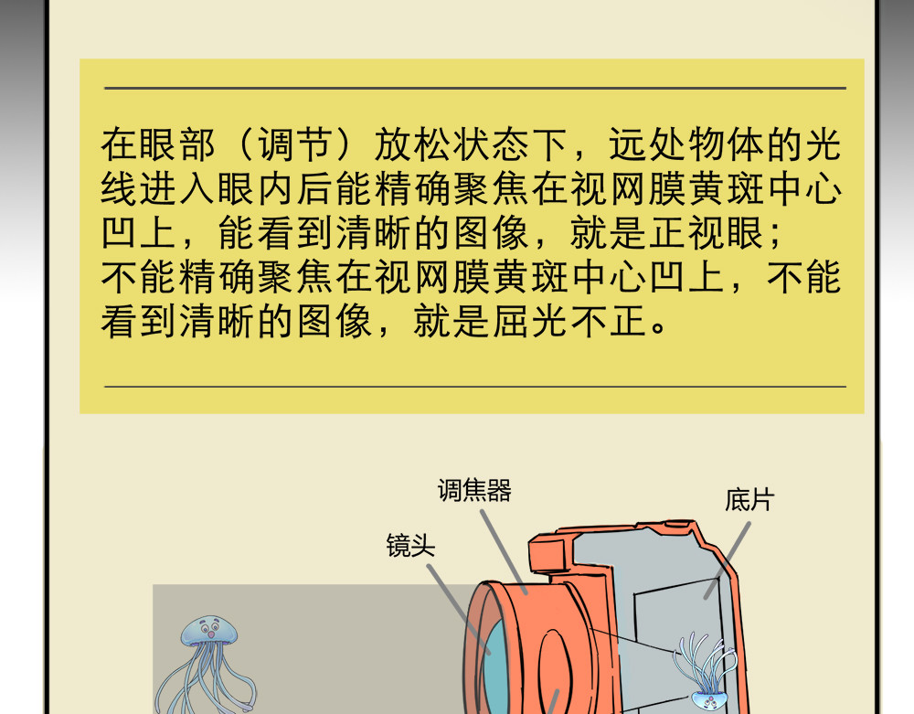 漫话隐形眼镜 神奇的视觉 第47页