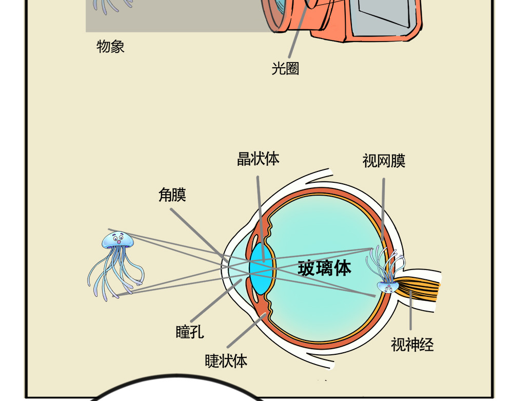 漫话隐形眼镜 神奇的视觉 第48页