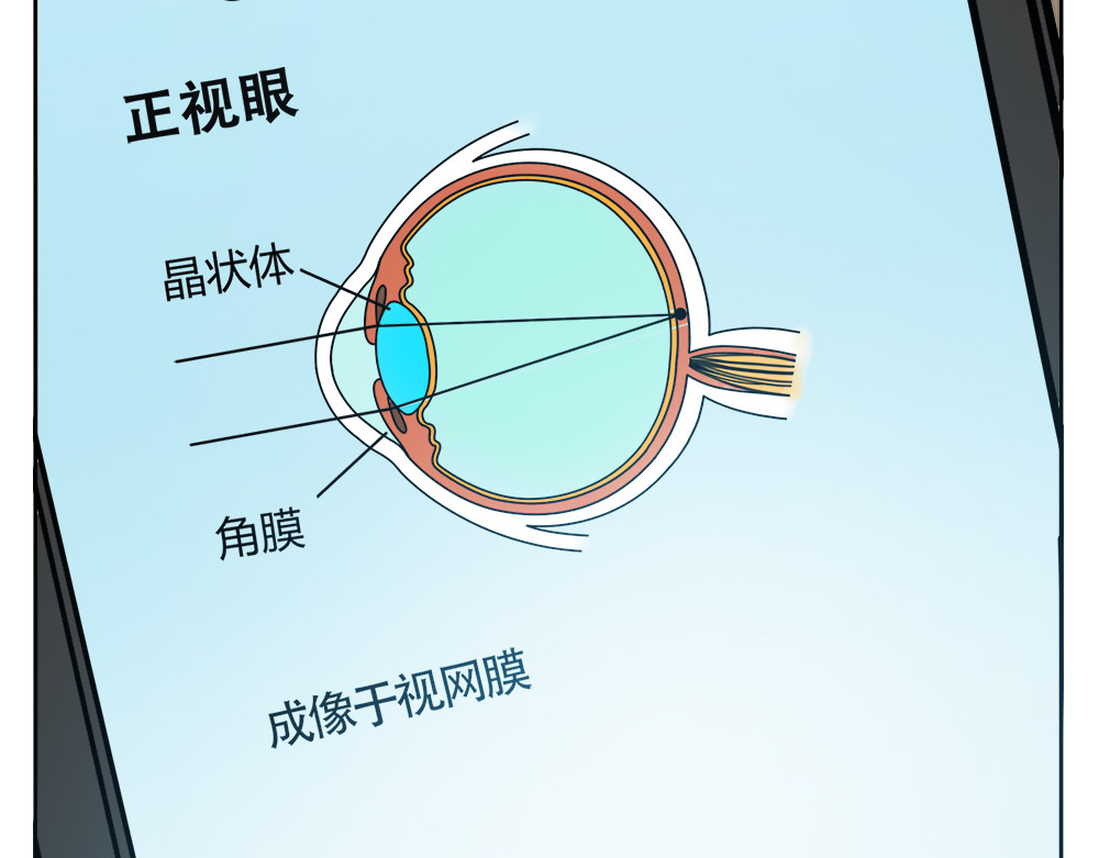 漫话隐形眼镜 神奇的视觉 第66页