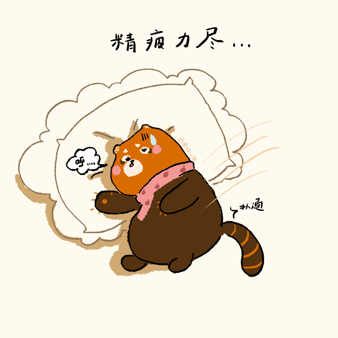 圆圆猫小熊 第3页