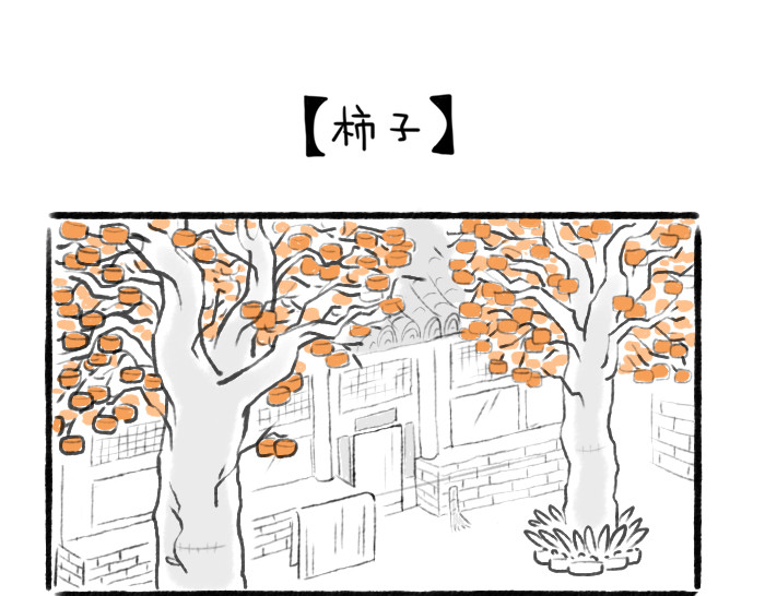 绵绵细雨织回忆 第1页