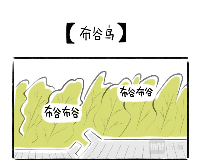 绵绵细雨织回忆 第一章 送柿子 第19页