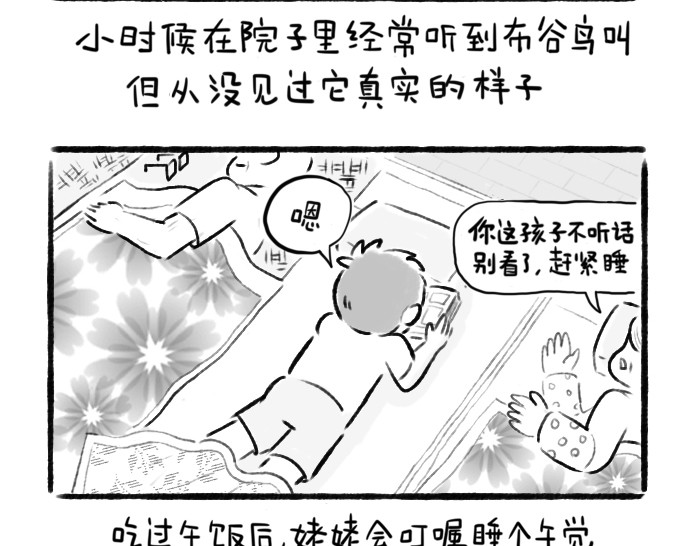 绵绵细雨织回忆 第一章 送柿子 第20页