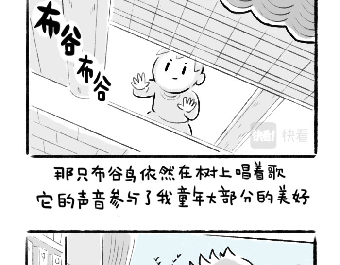 绵绵细雨织回忆 第一章 送柿子 第26页