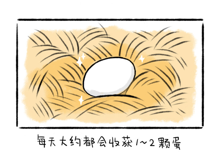 绵绵细雨织回忆 第一章 送柿子 第31页