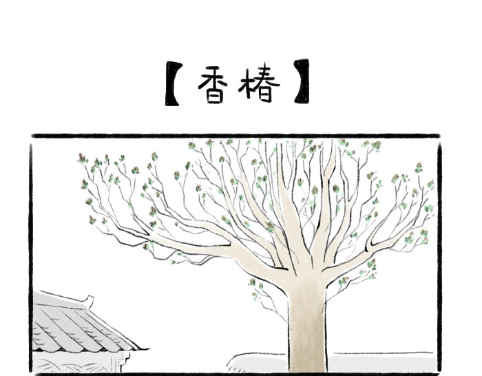 绵绵细雨织回忆 第二章 香椿鱼 第1页