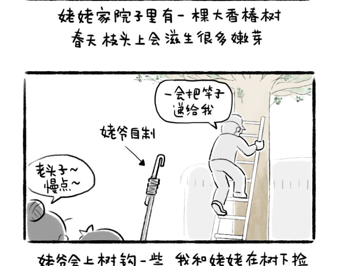 绵绵细雨织回忆 第二章 香椿鱼 第2页
